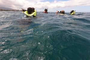 West Oahu: Turtles, Dolphins, and Snorkeling Tour with Lunch