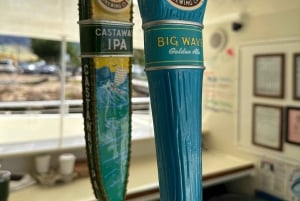 West Oahu: Turtles, Dolphins, and Snorkeling Tour with Lunch