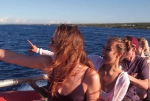 Crociera per l'osservazione delle balene a Winona - Porto di Maalaea