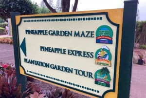 World Famous Dole Plantation & The North Shore Island Tour!