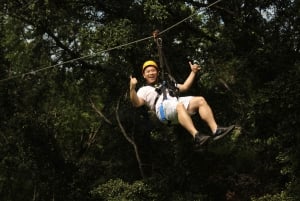 Zip & Dip: Wet 'n' Wild Hawaii Waterpark: 3 Ziplines + Wet 'n' Wild Hawaii Waterpark