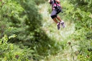 Zip & Dip: Wet 'n' Wild Hawaii Waterpark: 3 Ziplines + Wet 'n' Wild Hawaii Waterpark