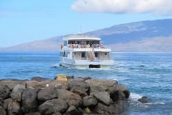 Maui Ferry