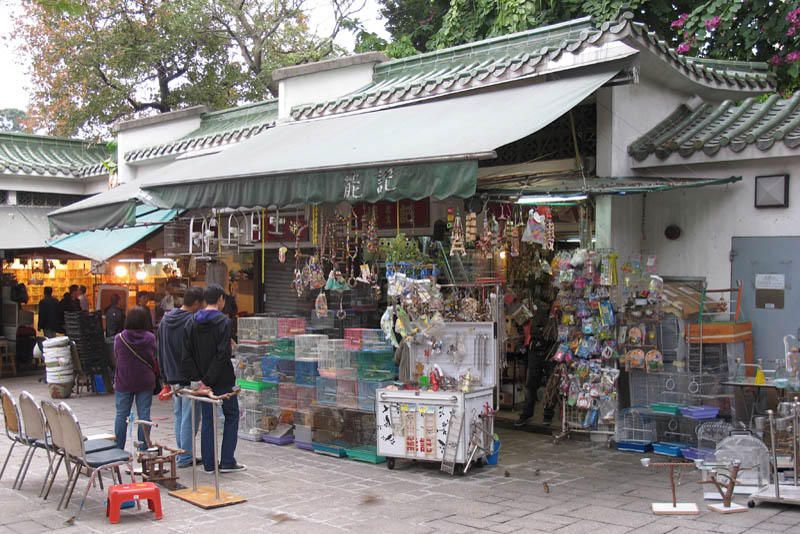 Yuen Po Street Bird Market