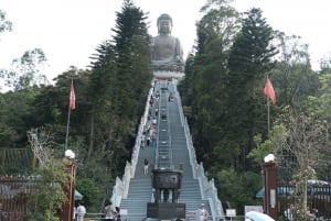 Big Buddha: Walk with Skip-the-Line NP360 Cable Car