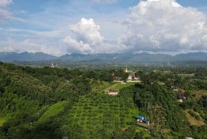 Chiang Mai: Full-Day Chiang Dao Caving & Jungle Kayaking