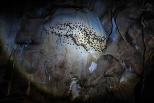 Chiang Mai: Full-Day Chiang Dao Caving & Jungle Kayaking