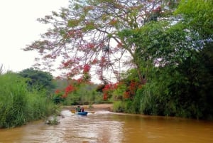 Chiang Mai: Full-Day Chiang Dao Caving & Jungle Kayaking