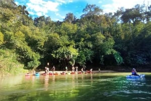 Chiang Mai: Full-Day Chiang Dao Caving & Jungle Kayaking