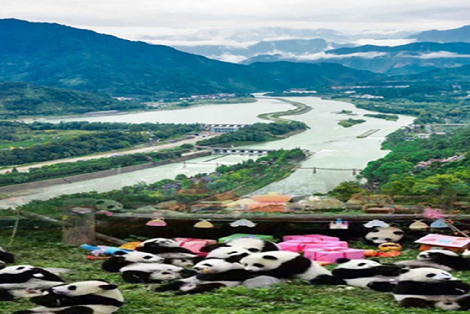 Dujiangyan panda base and irrigation system park day tour