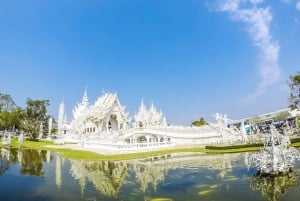 From Chiang Mai: White Temple & Golden Triangle Day Trip