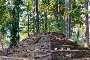 From Chiang Mai: White Temple & Golden Triangle Day Trip