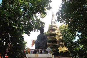 From Chiang Mai: White Temple & Golden Triangle Day Trip
