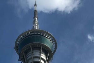 From Hong Kong: Macau Day Tour via HZMB w/Lunch & Transfers