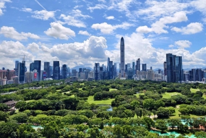 Da Hong Kong: tour storico privato di Shenzhen + assistenza per il visto