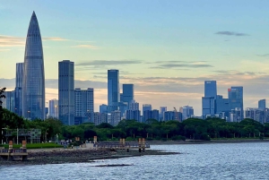 Da Hong Kong: tour storico privato di Shenzhen + assistenza per il visto