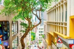 Da Shenzhen: patrimonio culturale, skyline e vista sul porto di Hong Kong