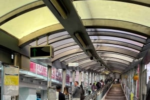 Da Shenzhen: patrimonio culturale, skyline e vista sul porto di Hong Kong