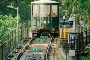 From Shenzhen: HongKong Trip with Harbour, Peak & Ferry Ride