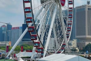 From Shenzhen: HongKong Trip with Harbour, Peak & Ferry Ride