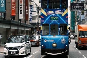 From Shenzhen: HongKong Trip with Harbour, Peak & Ferry Ride