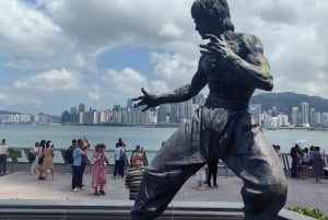 From Shenzhen: HongKong Trip with Harbour, Peak & Ferry Ride