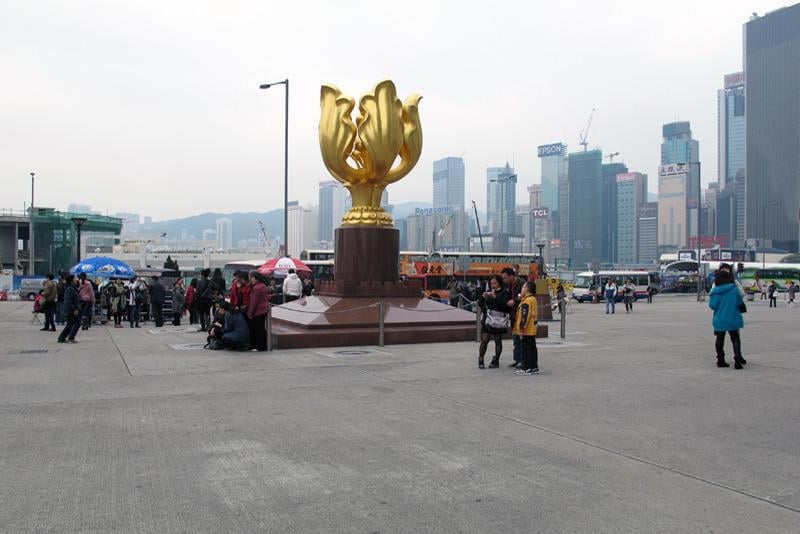 Golden Bauhinia Square