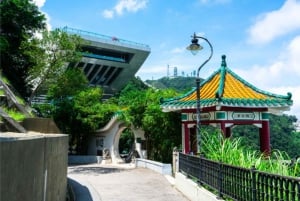 Hong Kong: Half Day City Highlights w/Peak Tram & Star Ferry