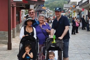Lantau: tour buddista e pranzo al Tai O Heritage Hotel (venerdì)