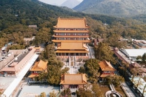 Lantau: tour buddista e pranzo al Tai O Heritage Hotel (venerdì)