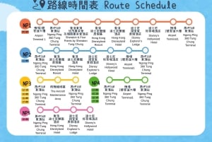 Hongkong: 360 Lantau Open-Top Bus Sightseeing Experience