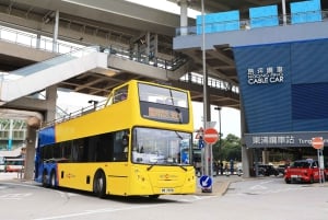 Hongkong: 360 Lantau Open-Top Bus Sightseeing Experience