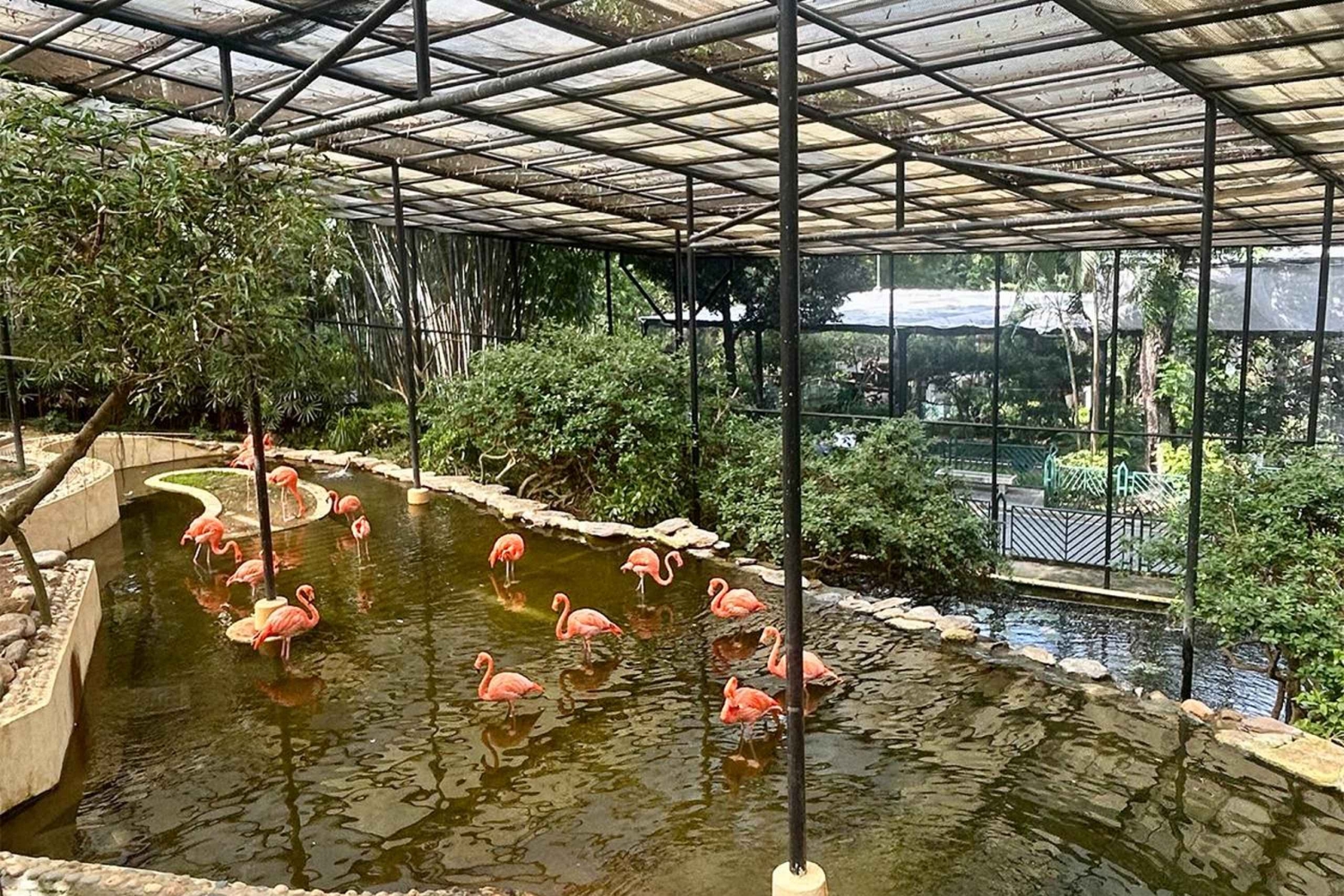 Hong Kong: 360 Panorama Sunset Hike to the Peak with Local