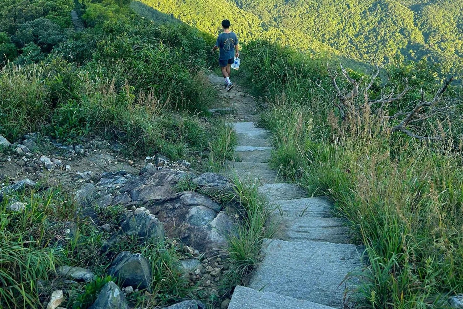 Hong Kong: 360 Panorama Sunset Hike to the Peak with Local