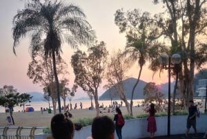 Гонконг: частная экскурсия по культурным достопримечательностям Абердина + димсам