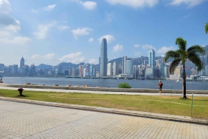 Hongkong: Chinesische Neujahrstour mit Parade-Show und Abendessen