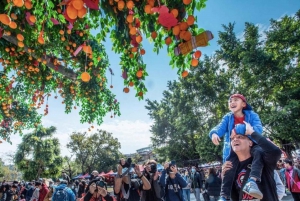 Hongkong: Chinesische Neujahrstour mit Parade-Show und Abendessen