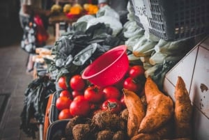 Culinária de Hong Kong: Das ruas locais às iguarias gourmet