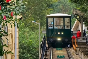 Hong Kong: un día entero de patrimonio, jardines y vida en el mercado
