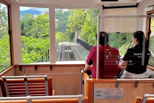 Hong Kong: un día entero de patrimonio, jardines y vida en el mercado