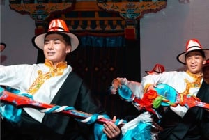 Hong Kong: excursión de 1 día a Shenzhen, el futuro y la China tradicional