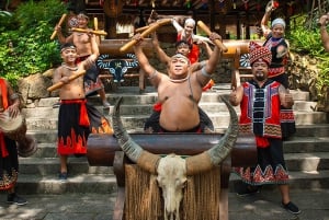 Hong Kong: excursión de 1 día a Shenzhen, el futuro y la China tradicional