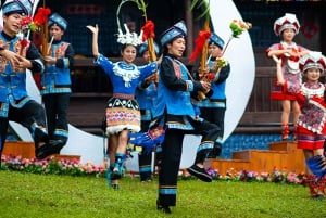 Hong Kong: excursión de 1 día a Shenzhen, el futuro y la China tradicional