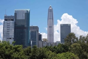 Hong Kong: excursión de 1 día a Shenzhen, el futuro y la China tradicional