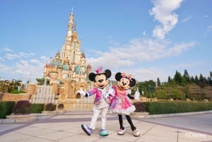 Hong Kong Disneyland: 20th Anniversary SouvenEAR Day Ticket