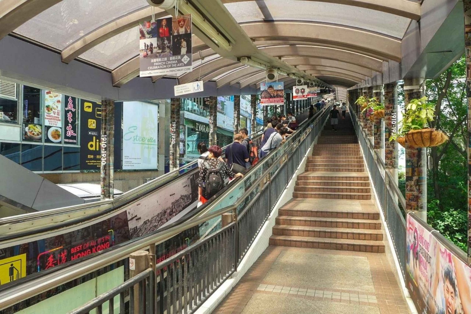 Hongkong: Fahrt mit der Peak Tram, Dim Sum Verkostung & Highlights der Stadt