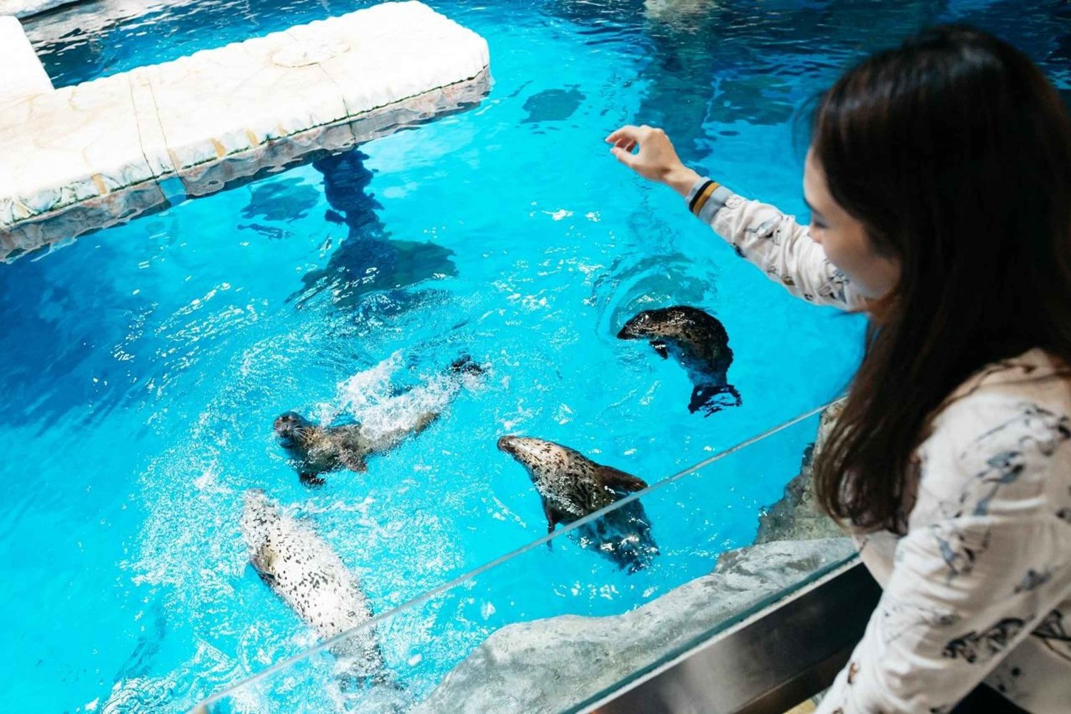 Hong Kong: Ocean Park Animal Encounter & Learning Experience