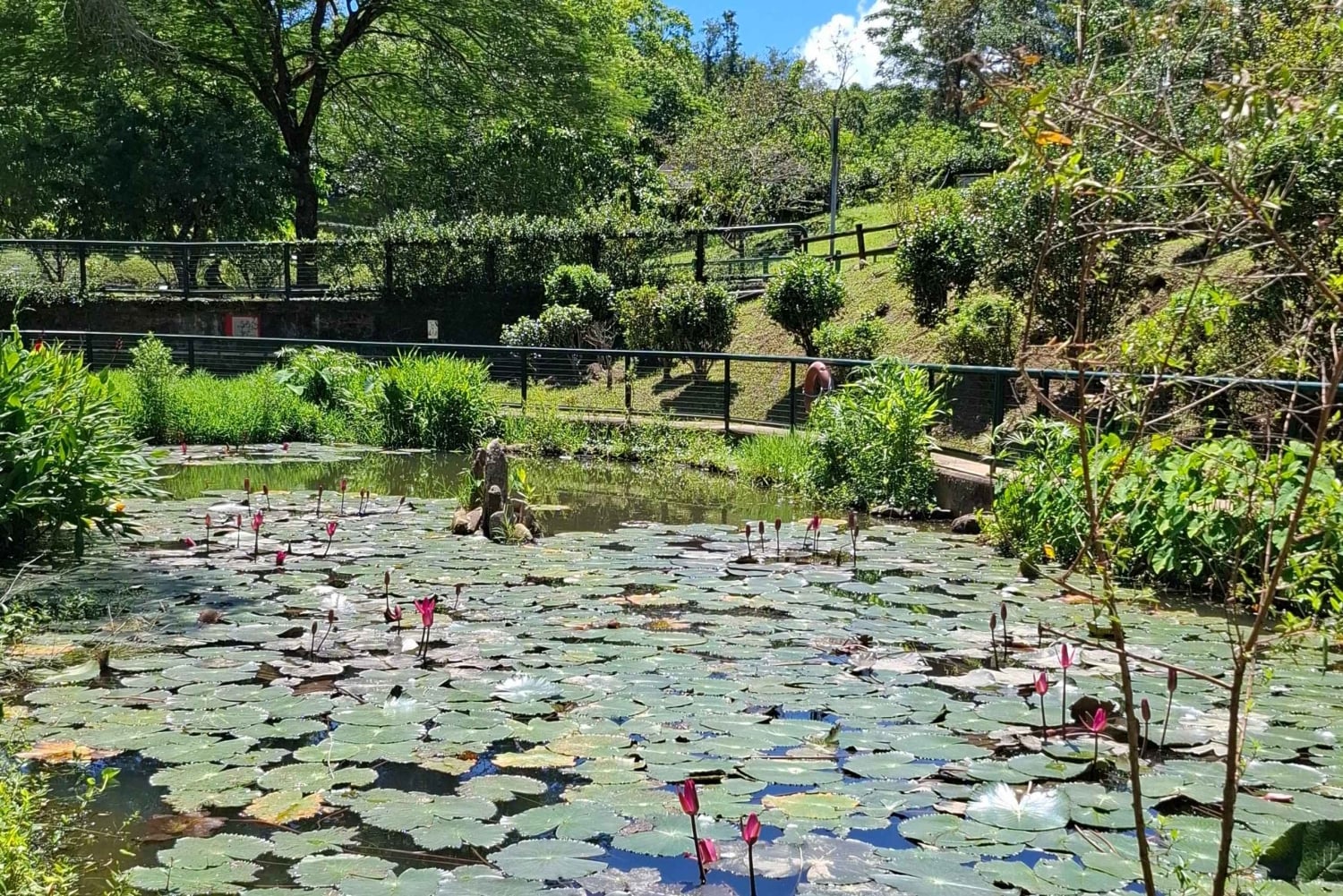Hongkong: Metsäterapia- ja tuoksurullatyöpaja