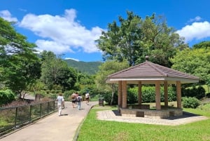 Hong Kong: terapia forestale e laboratorio di rollerball profumati