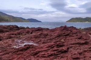 Hong Kong: Geopark Flaming Red Coast Hopping Tour